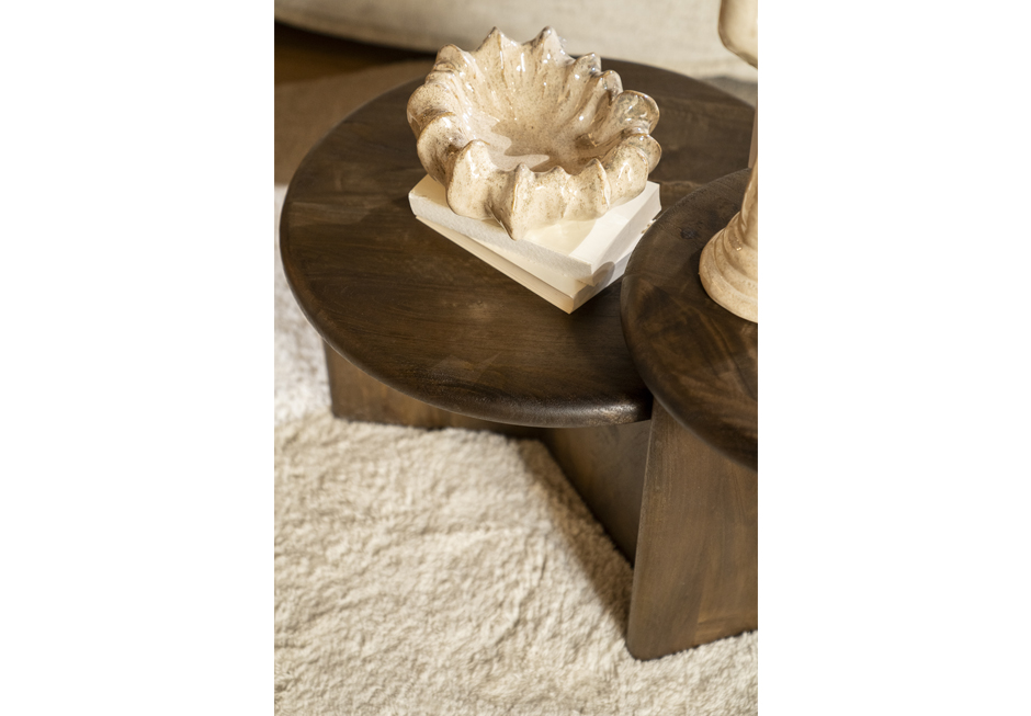 LEOTI COFFEE TABLE-BB 6