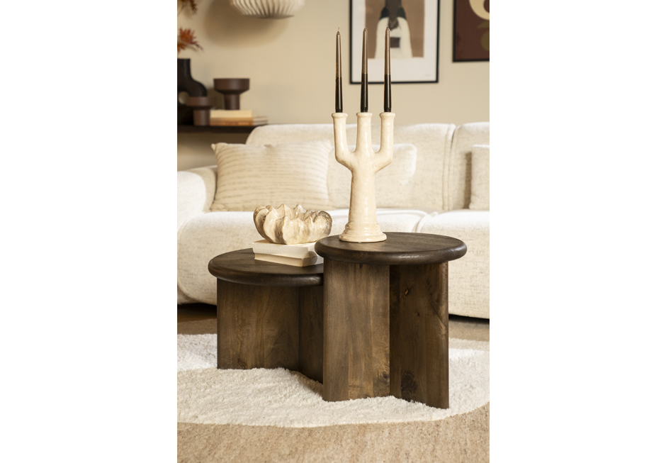 LEOTI COFFEE TABLE-BB 7