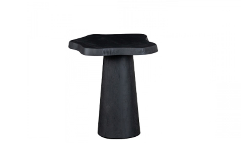 NEWTON-SIDE-LS-156363-156362-0